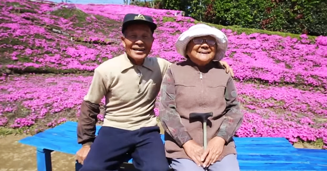Choáng ngợp đồi hoa người đàn ông Nhật trồng suốt 4 năm tặng vợ mù lòa