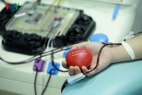 Vì sao các bệnh viện thiếu máu nghiêm trọng?