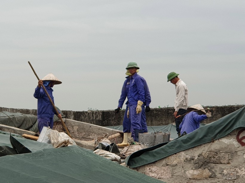 Công nhân tại Công ty Quang Hải đang vận chuyển cá từ tàu lên bể sơ chế