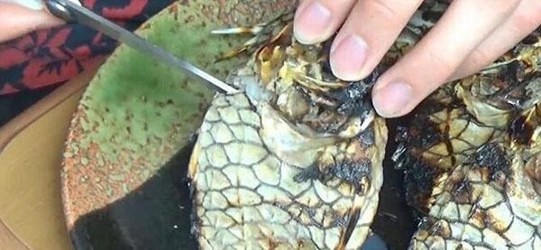 Loài cá cứng nhất thế giới, kéo cắt không đứt thì phải ăn kiểu gì?