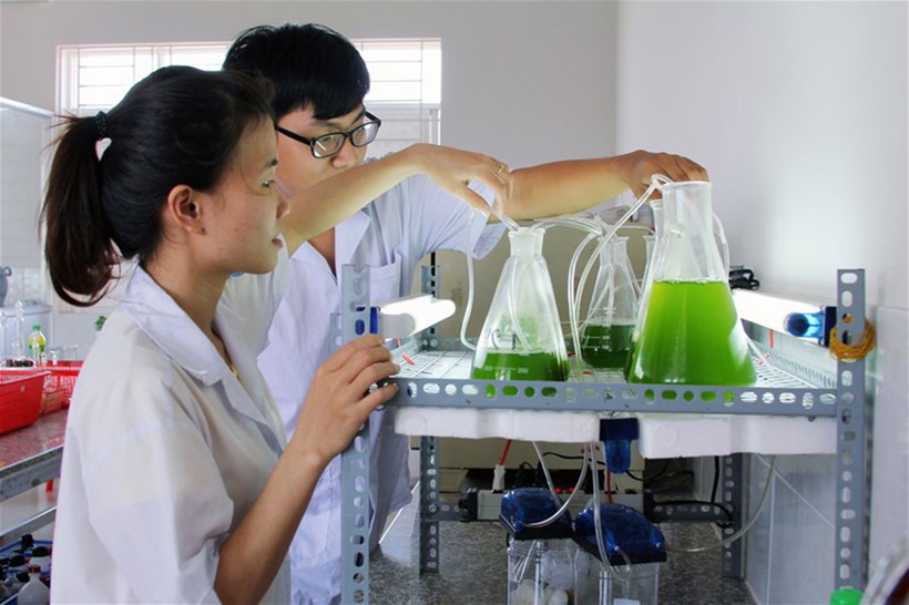 Sinh viên thực hành công nghệ xử lý nước thải