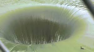 “Hố tử thần” khổng lồ xuất hiện giữa hồ Mỹ, nuốt chửng động vật