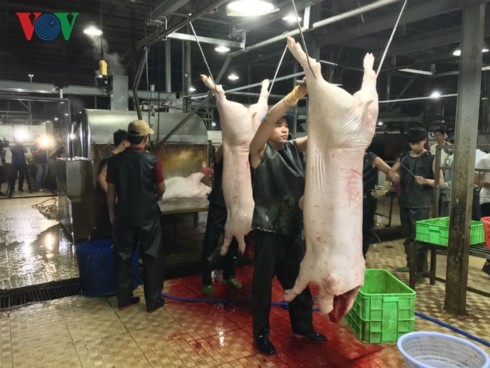 TP HCM: Thắt chặt kiểm soát thịt lợn ứng phó với dịch tả Châu Phi