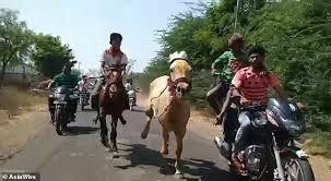 Ngựa hất văng kỵ sĩ trong cuộc đua, hành động của nài ngựa sau đó mới đáng chú ý