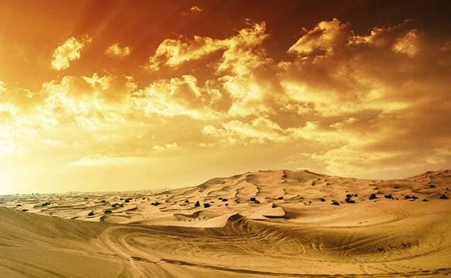 Bé trai 5 tuổi sống sót kỳ diệu sau khi bị lạc 24 giờ trên sa mạc