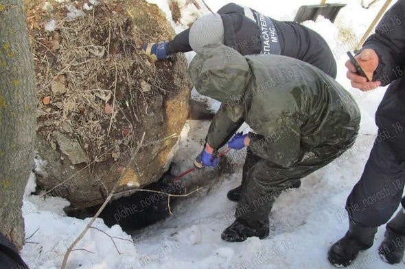 Nga: Tìm thấy xác ướp người đàn ông mất tích gần như nguyên vẹn trong hang gấu 