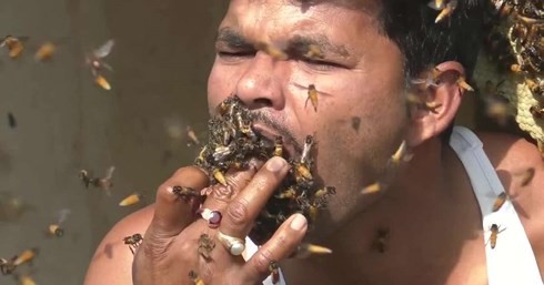 Người đàn ông “nhốt” cả tổ ong vào miệng để... lấy mật