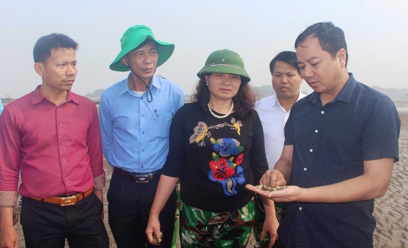 Phó Tổng Cục trưởng Tổng cục Thủy sản Trần Đình Luân (ngoài cùng bên phải) kiểm tra tình hình ngao chết tại Hải Lộc