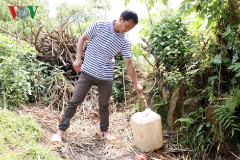 Nắng nóng kéo dài, vùng cao Lai Châu “khát nước“