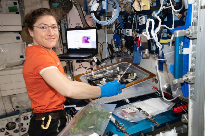 Nữ phi hành gia phá kỷ lục sống lâu trên quỹ đạo