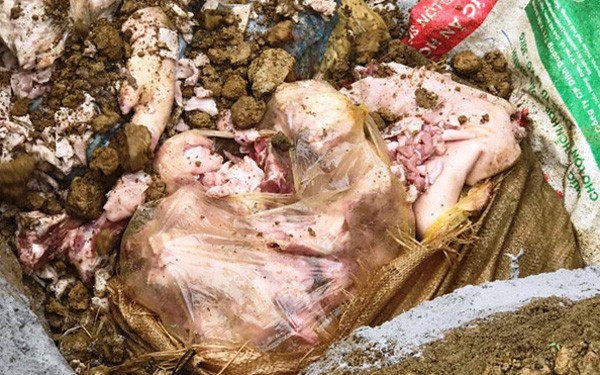 Thịt lợn nổi hạch, tồn dư kháng sinh vẫn được lăn dấu kiểm dịch thú y