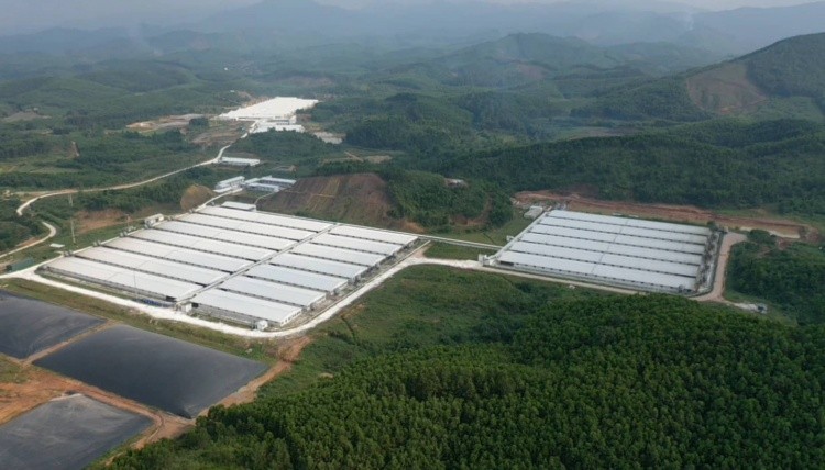 Trang trại nuôi lợn của Công ty Hoà Phát Bắc Giang gây ô nhiễm môi trường. Ảnh: Hoàng Long.