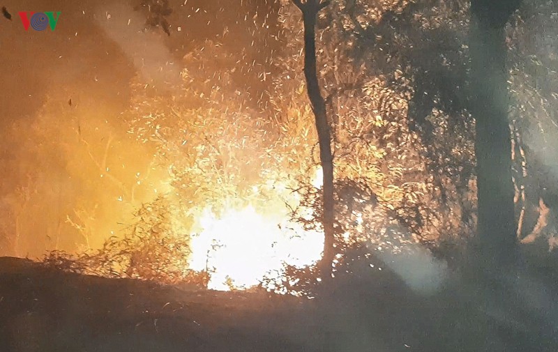 Hàng trăm người tham gia chữa cháy rừng trong đêm