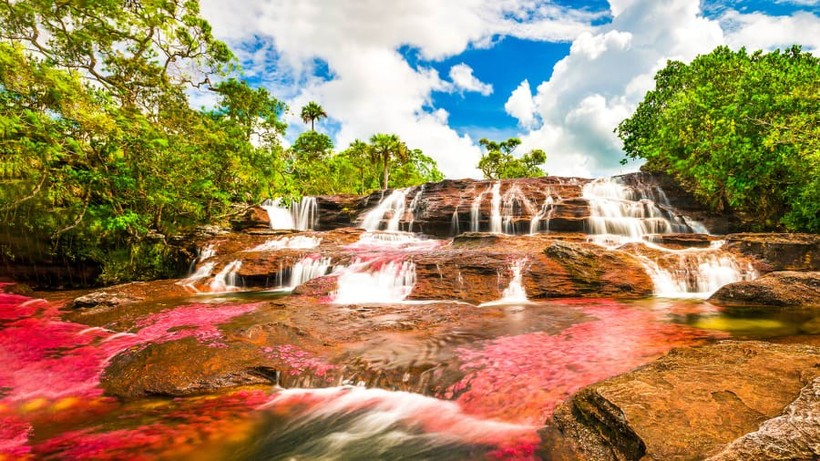 Chiêm ngưỡng tuyệt tác dòng sông ngũ sắc ở Colombia