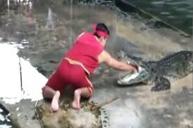 Sự cố thót tim khi đang diễn cùng cá sấu 