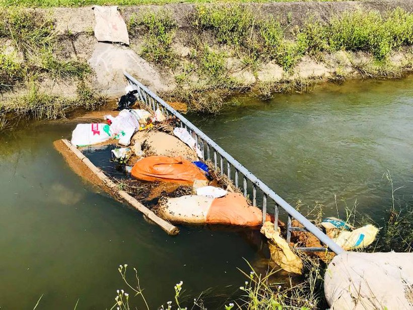 Lợn nhiễm DTLCP bị người dân đem vứt xuống dòng sông