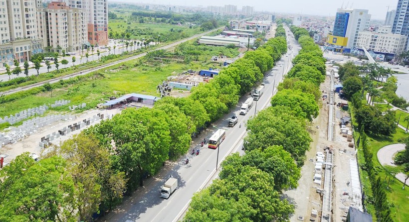 Sở GTVT Hà Nội đã rà soát, dự kiến cần di chuyển 1.900 cây xanh mở rộng lòng đường