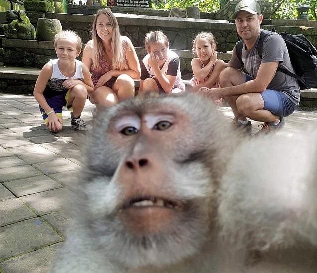 Đi nghỉ mát, gia đình được khỉ chụp “tự sướng” ấn tượng như người