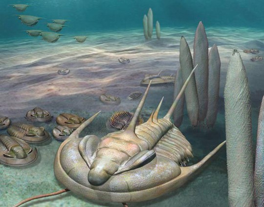 Phát hiện hóa thạch bọ “bạo chúa” hơn 500 triệu năm trước