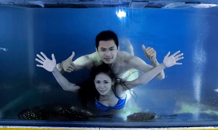 Rủ nhau bơi trong bể cá cảnh, hai vợ chồng suýt phải nhập viện