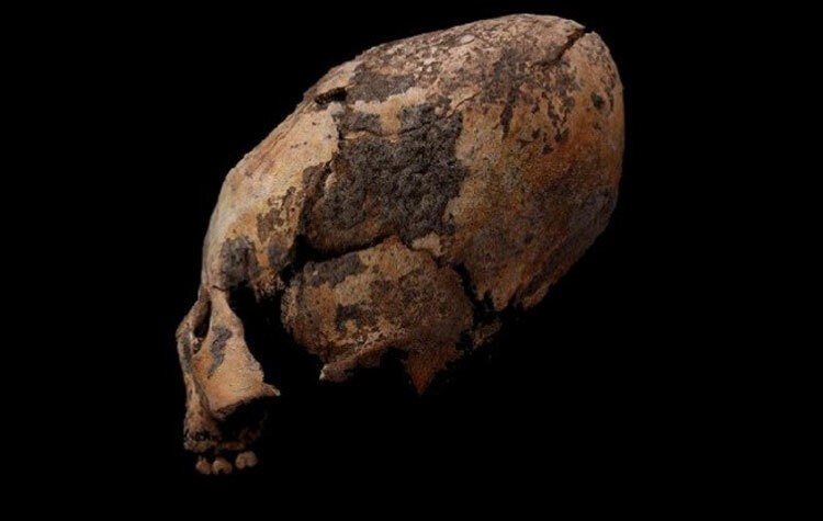 Hộp sọ kéo dài được khai quật ở Houtaomuga, Trung Quốc. Ảnh: Zhang và nhóm nghiên cứu.