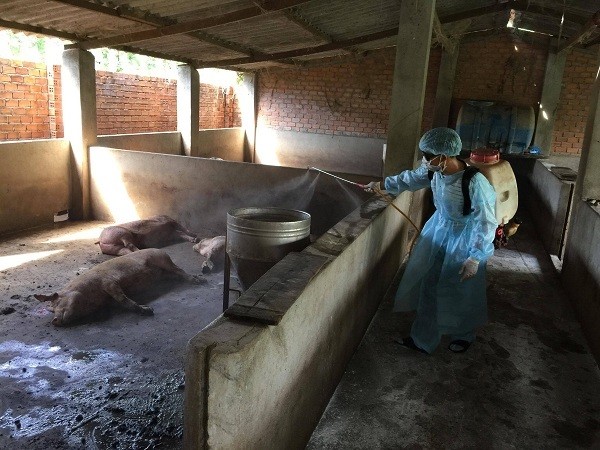 Cơ quan chức năng tiến hành phun thuốc khử trùng tại một ổ dịch ở Đắk Lắk.
