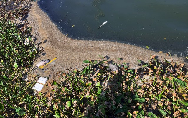 Nước thải bốc mùi chảy ra sông Hàn được ghi lại vào cuối tháng 5/2019.