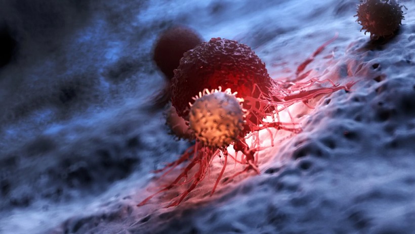 Tế bào chết và tế bào bảo vệ được mô phỏng trong nghiên cứu.