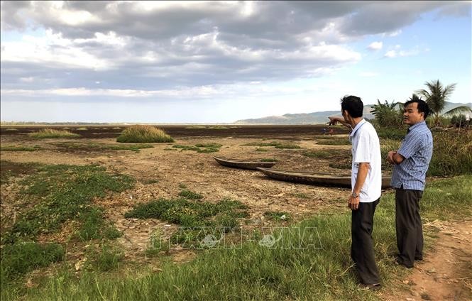 Đầm Trà Ổ (huyện Phù Mỹ, tỉnh Bình Định) có diện tích rộng hơn 1.200 ha đã cạn khô nước. Ảnh: Nguyên Linh/TTXVN.