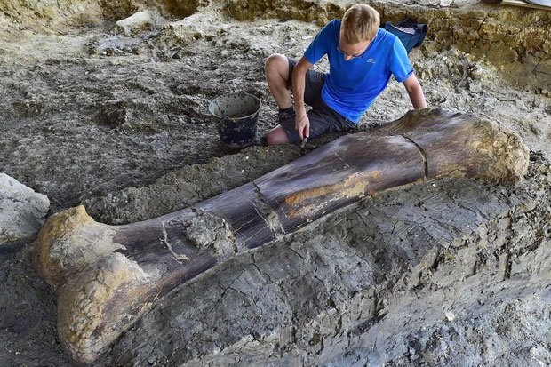Xương khủng long dài 2 mét và nặng 500 kg.
