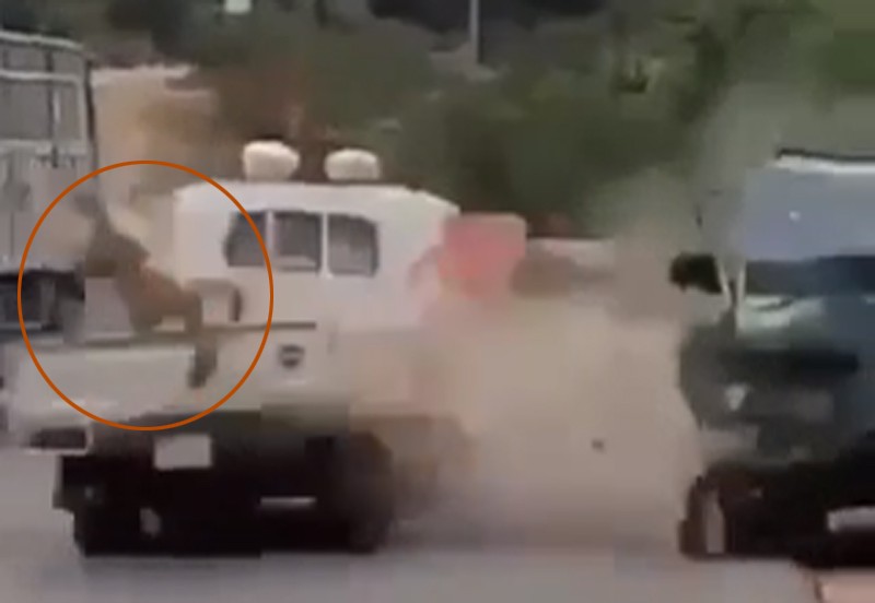 Tạm giữ 3 nghi can chở gỗ lậu tông xe CSGT ở Gia Lai
