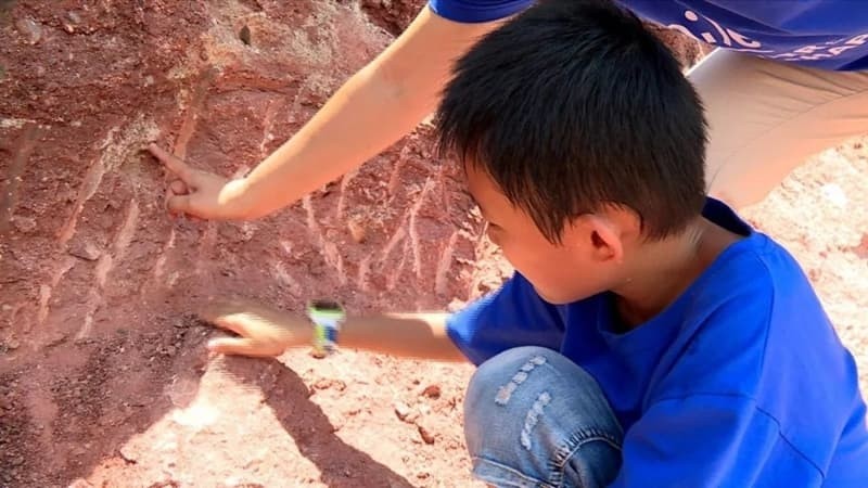 Cậu bé vô tình phát hiện một ổ trứng khủng long khi đang tìm đá để đập vỏ quả óc chó.