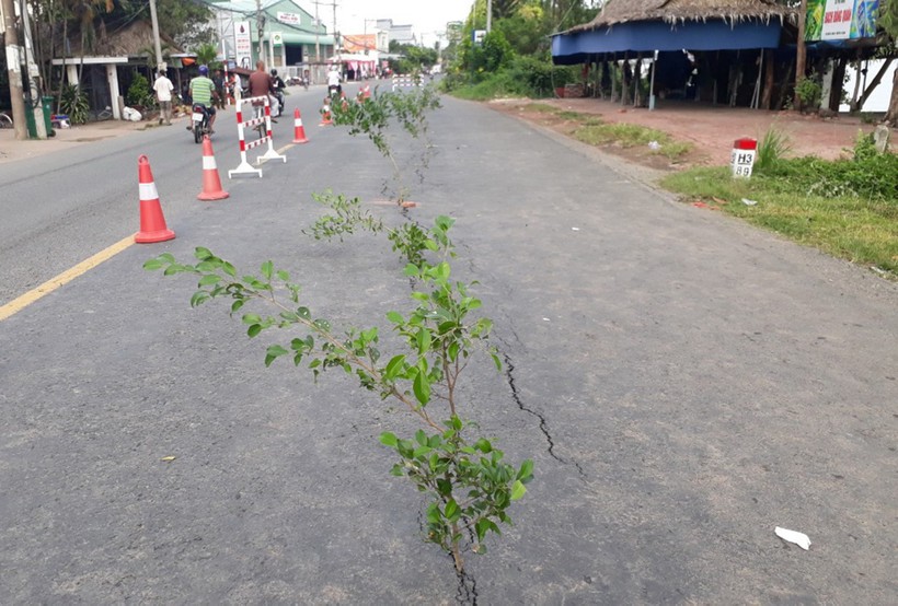 Trước tình trạng Quốc lộ 91 sạt lở nghiêm trọng, UBND tỉnh An Giang đã công bố tình huống khẩn cấp. Ảnh: H.C