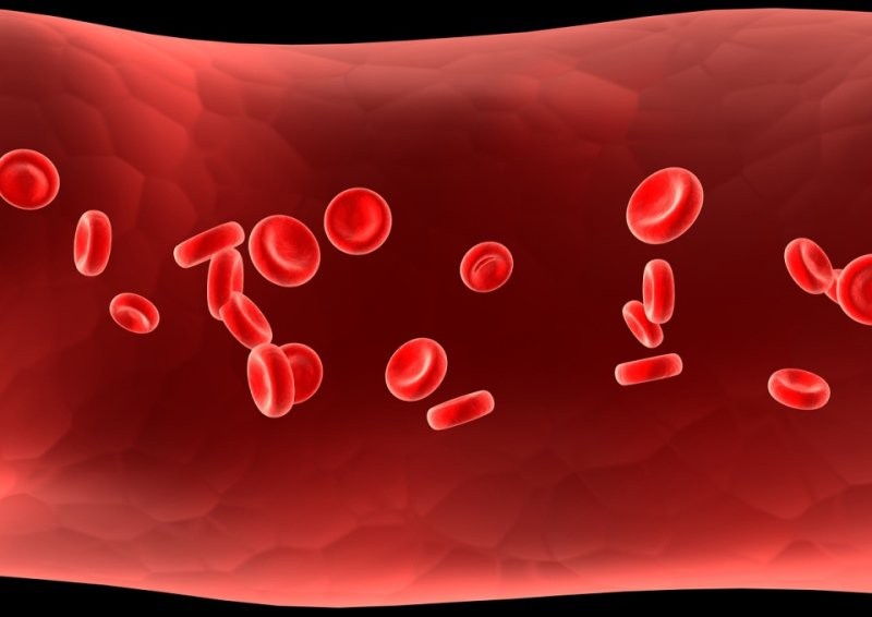 Thiếu máu rất dễ gây ra những biến chứng nguy hiểm đối với sức khỏe.