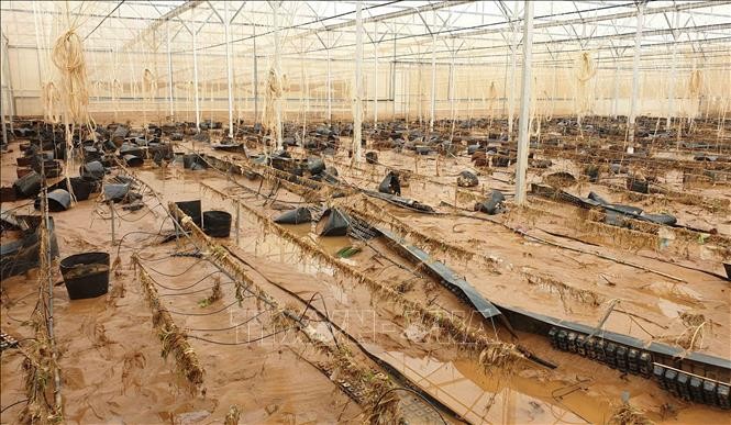 Khu nhà kính thuộc trang trại sản xuất của Công ty TNHH Rau sạch Đạ Nghịt bị bùn đất tràn vào sau trận lũ.