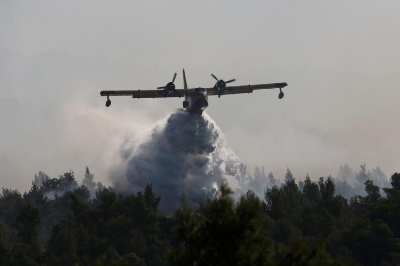 Máy bay phun nước nhằm dập tắt đám cháy tại đảo Evia