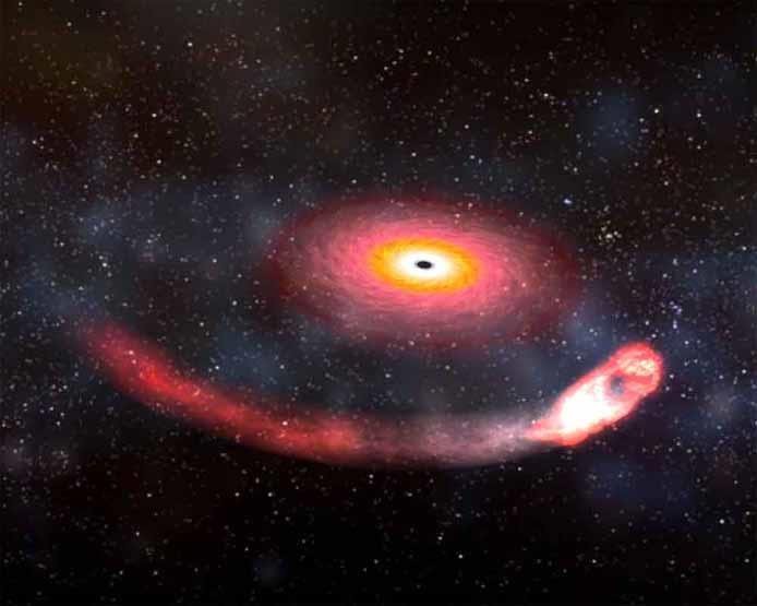 Hố đen phát ra sóng hấp dẫn khi nuốt chửng sao neutron. Ảnh: LIGO.