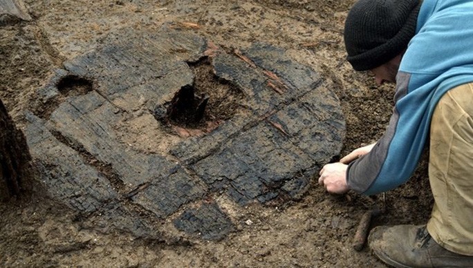 Một nhà khảo cổ đang làm việc trên khu vực khai quật để lấy lên khỏi đất bùn một chiếc bánh xe gỗ khổng lồ - ảnh do nhóm nghiên cứu cung cấp.