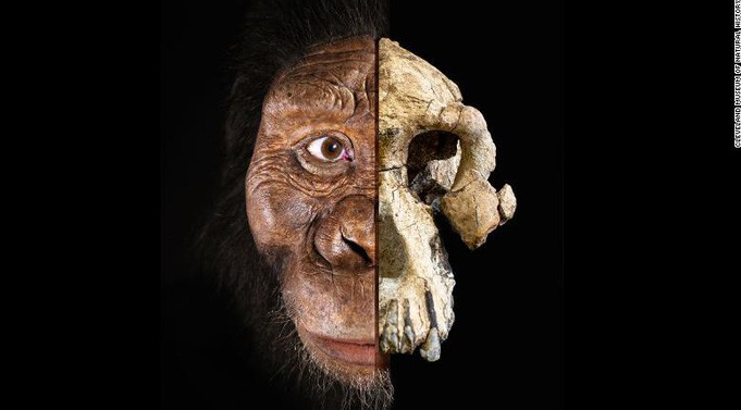 Khuôn mặt của tổ tiên loài người cách đây 3,8 triệu năm được phục dựng dựa trên hộp sọ mới tìm thấy. Ảnh: Ancient Finds.