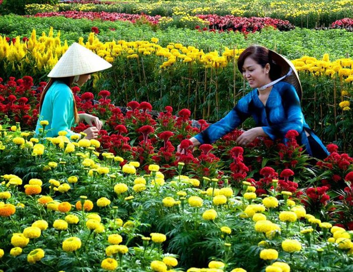 Du khách trải nghiệm làm nông dân trồng hoa ở làng hoa Sa Đéc (Đồng Tháp). 	