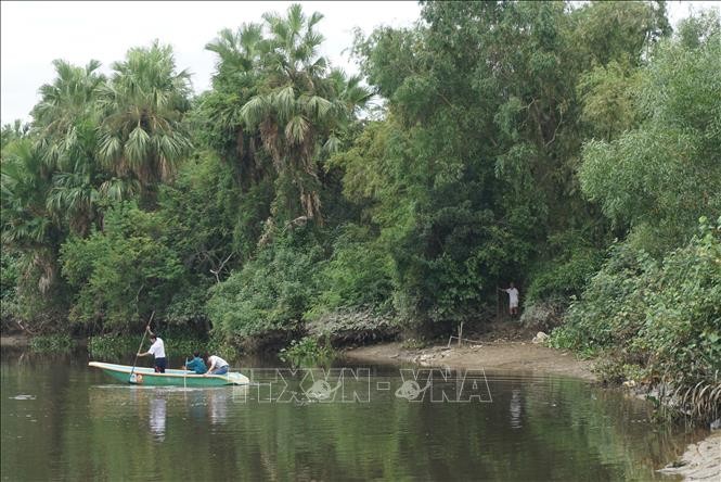 Lực lượng chức năng dùng thuyền để tìm cá sấu trên sông Cầu Đông. 

