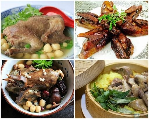 Thịt bồ câu có thể chế biến thành nhiều món ăn bồi bổ cho sức khỏe.