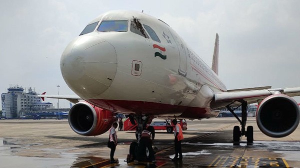Chuyến bay của Hãng Hàng không Air India khởi hành từ Kolkata đi Agartala đã phải hoãn nhiều giờ sau khi bị một đàn ong tấn công.