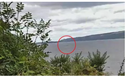 Chấm đen được cho là "quái vật" hồ Loch Ness.
