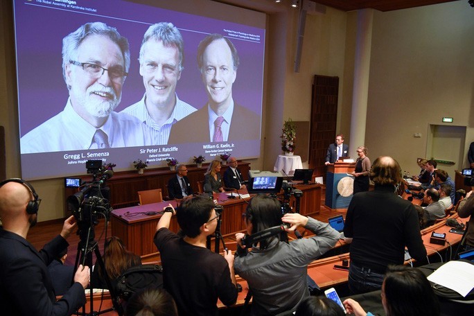 Giải thưởng Nobel Y học 2019 vinh danh 3 nhà khoa học Gregg Semenza, Peter Ratcliffe và William Kaelin Ảnh: REUTERS