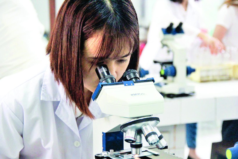 Việt Nam cũng nên xếp hạng các trường ĐH ở trong nước. Ảnh: Minh Phong 