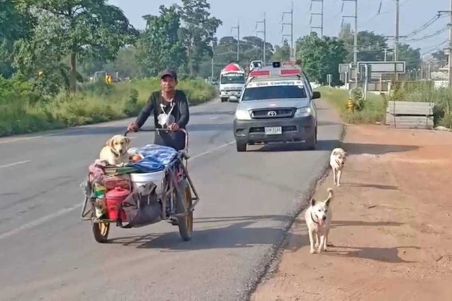 Ông Sakchai đẩy chiếc xe trên đường cùng 3 chú chó. Bên trong chiếc xe có một bình đựng tro cốt của vợ ông. Ảnh: Bangkok Post.