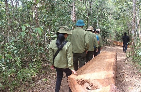 Một vụ phá rừng tại xã Hà Tây, huyện Chư Păh bị cơ quan chức năng phát hiện

