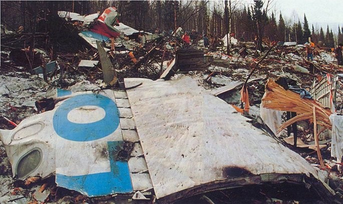 Mảnh vỡ chiếc máy bay được tìm thấy ở hiện trường vụ tai nạn. (Ảnh: Whale Oil).