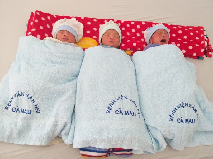 Sức khỏe của 3 bé trai sinh 3 hiện rất tốt.